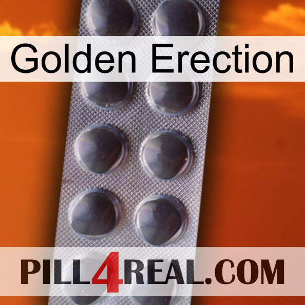 Golden Erection 30.jpg